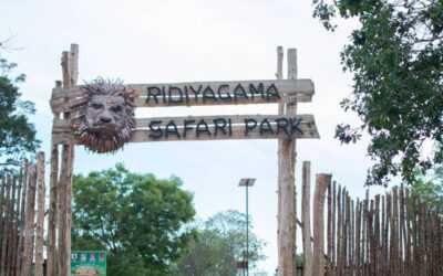 Ridiyagama Safari Park