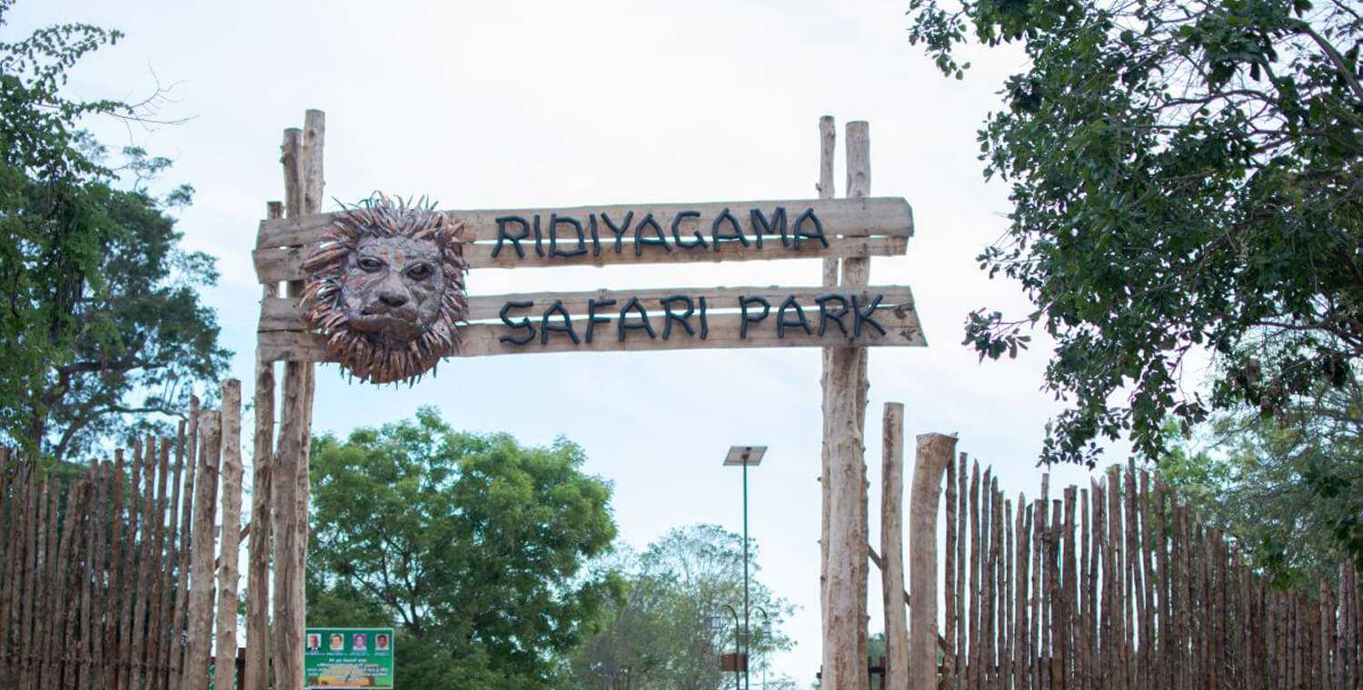 where is ridiyagama safari park