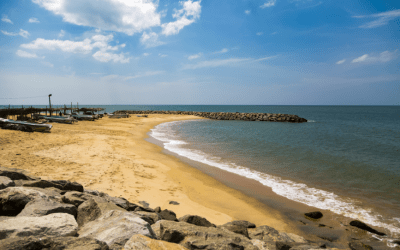 The Ultimate Beach Destination:  The Guide to Making the Most of your Trip to Negombo
