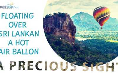 Floating over Sri Lanka in a Hot Air Balloon: A Precious sight!