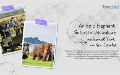 An Epic Elephant Safari in Udawalawe National Park in Sri Lanka