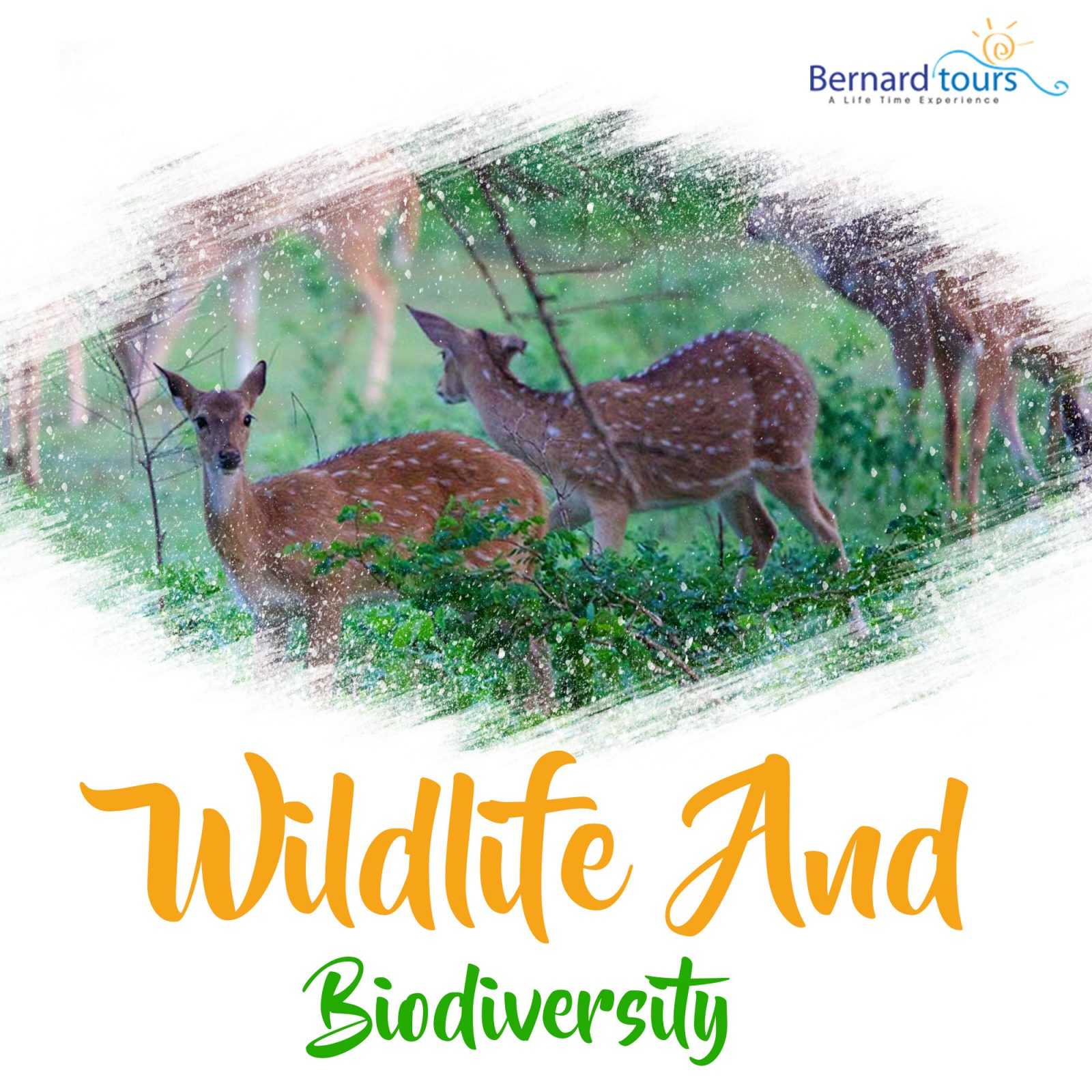 Basic Concepts Of Wildlife And Biodiversity