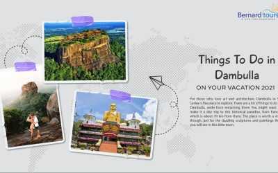 Things To Do In Dambulla  On Your Vacation In 2021
